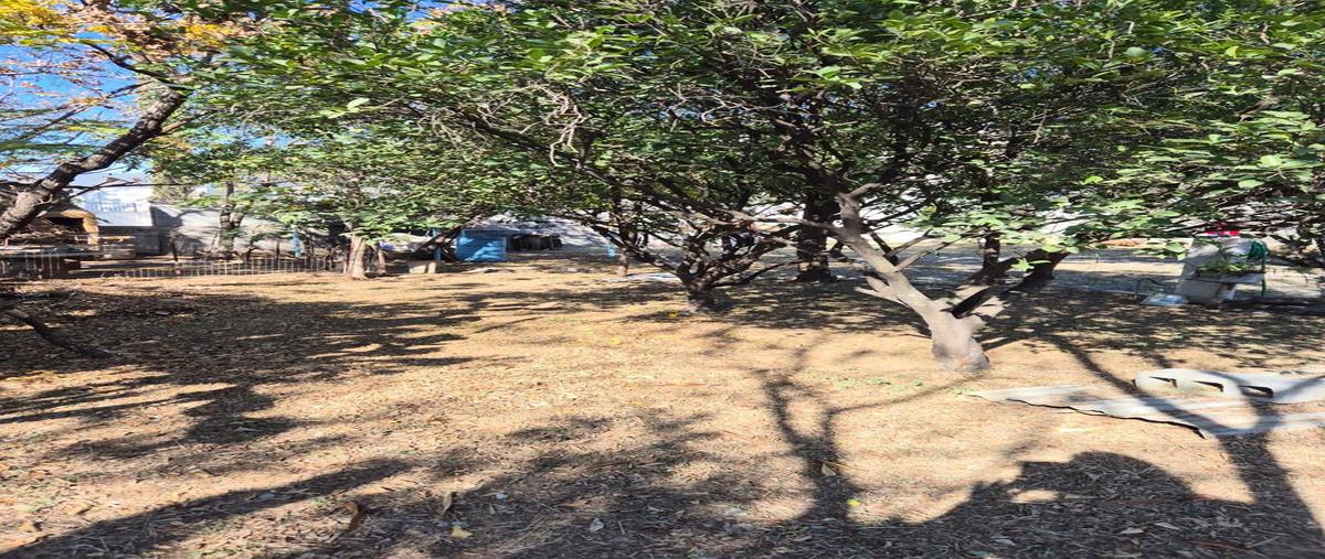 Foto de terreno habitacional en venta en  , las cruces [carretera nacional kilómetro 236], allende, nuevo león, 0 No. 03